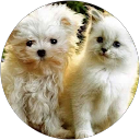 Janaki Vijay Kumar profile picture